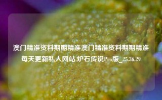 澳门精准资料期期精准澳门精准资料期期精准每天更新私人网站,炉石传说Pro版_25.36.29