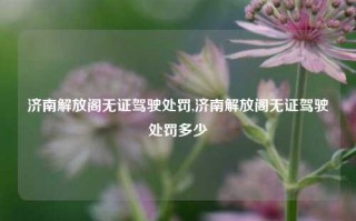 济南解放阁无证驾驶处罚,济南解放阁无证驾驶处罚多少