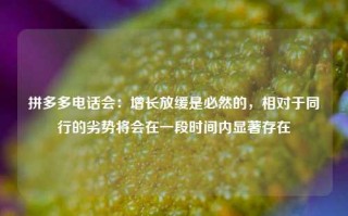 拼多多电话会：增长放缓是必然的，相对于同行的劣势将会在一段时间内显著存在