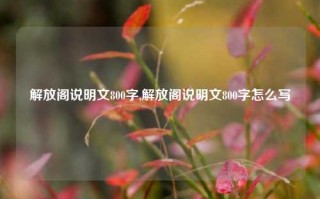 解放阁说明文800字,解放阁说明文800字怎么写