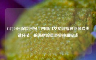 11月29日保险日报丨四部门发文剑指农业保险关键环节，前海财险董事会换届完成