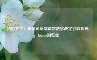 法院文件：美国司法部请求法官裁定谷歌剥离Chrome浏览器