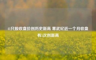 41只股收盘价创历史新高 寒武纪近一个月收盘有5次创新高