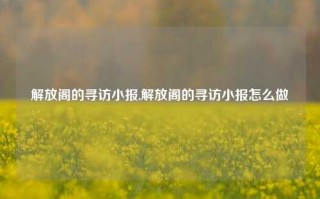 解放阁的寻访小报,解放阁的寻访小报怎么做