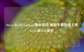 Sotera Health Company盘中异动 临近午盘快速上涨5.15%报13.48美元