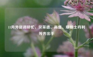 11月外资调研忙，贝莱德、高盛、摩根士丹利等齐出手