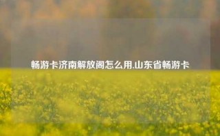 畅游卡济南解放阁怎么用,山东省畅游卡