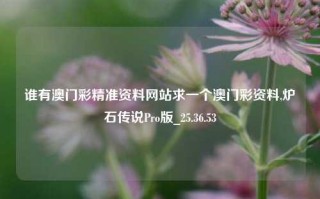 谁有澳门彩精准资料网站求一个澳门彩资料,炉石传说Pro版_25.36.53