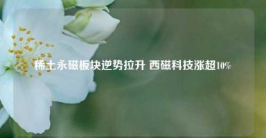 稀土永磁板块逆势拉升 西磁科技涨超10%