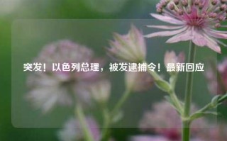 突发！以色列总理，被发逮捕令！最新回应