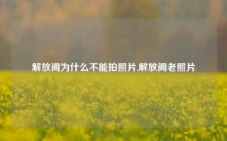 解放阁为什么不能拍照片,解放阁老照片