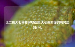 北二楼天心阁和解放西路,天心阁对面的烧烤店叫什么