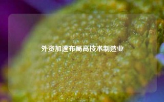 外资加速布局高技术制造业