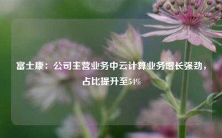 富士康：公司主营业务中云计算业务增长强劲，占比提升至54%