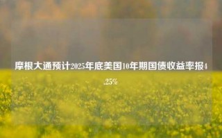 摩根大通预计2025年底美国10年期国债收益率报4.25%