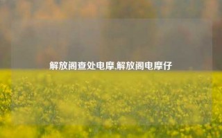 解放阁查处电摩,解放阁电摩仔