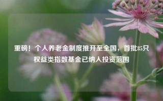 重磅！个人养老金制度推开至全国，首批85只权益类指数基金已纳入投资范围