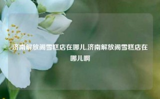 济南解放阁雪糕店在哪儿,济南解放阁雪糕店在哪儿啊