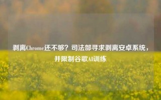 剥离Chrome还不够？司法部寻求剥离安卓系统，并限制谷歌AI训练