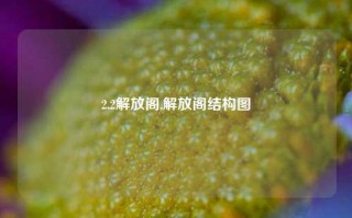 2.2解放阁,解放阁结构图