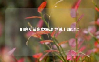 叮咚买菜盘中异动 急速上涨5.53%