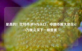 是真的！比特币冲10万关口，中国币圈大佬花624万美元买下一根香蕉