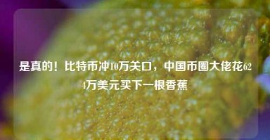 是真的！比特币冲10万关口，中国币圈大佬花624万美元买下一根香蕉