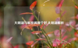 大明湖与解放阁哪个好,大明湖解析