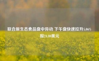 联合原生态食品盘中异动 下午盘快速拉升5.06%报24.80美元