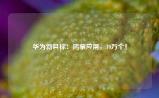 华为新目标：鸿蒙应用，10万个！