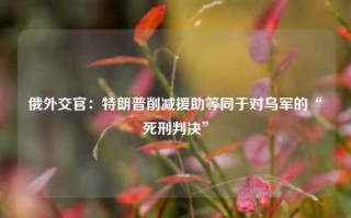 俄外交官：特朗普削减援助等同于对乌军的“死刑判决”