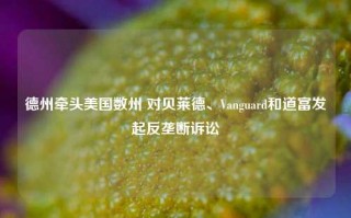 德州牵头美国数州 对贝莱德、Vanguard和道富发起反垄断诉讼