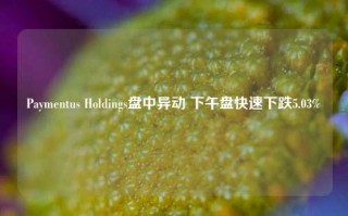 Paymentus Holdings盘中异动 下午盘快速下跌5.03%