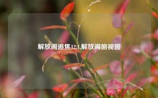 解放阁追焦12.1,解放阁俯视图