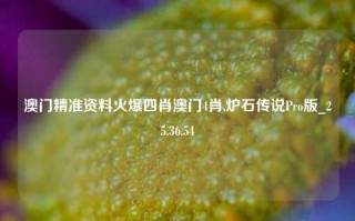 澳门精准资料火爆四肖澳门4肖,炉石传说Pro版_25.36.54