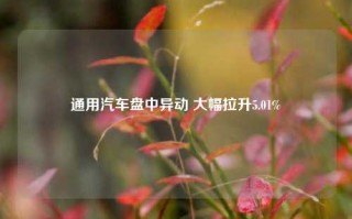 通用汽车盘中异动 大幅拉升5.01%