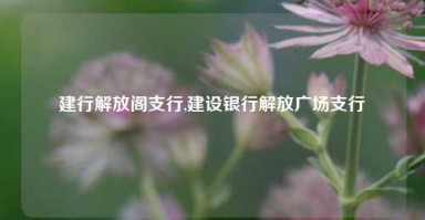 建行解放阁支行,建设银行解放广场支行