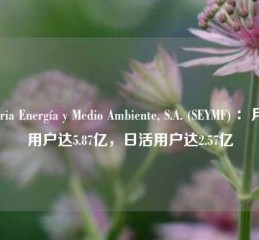 Solaria Energía y Medio Ambiente, S.A. (SEYMF) ：月活用户达5.87亿，日活用户达2.57亿