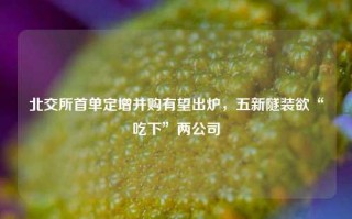 北交所首单定增并购有望出炉，五新隧装欲“吃下”两公司