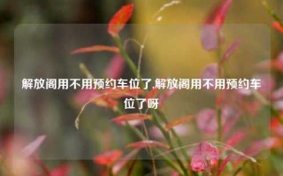 解放阁用不用预约车位了,解放阁用不用预约车位了呀