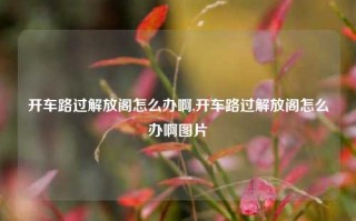 开车路过解放阁怎么办啊,开车路过解放阁怎么办啊图片