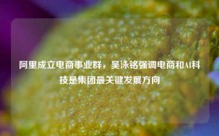 阿里成立电商事业群，吴泳铭强调电商和AI科技是集团最关键发展方向