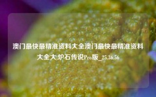 澳门最快最精准资料大全澳门最快最精准资料大全大,炉石传说Pro版_25.36.56