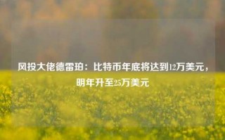 风投大佬德雷珀：比特币年底将达到12万美元，明年升至25万美元