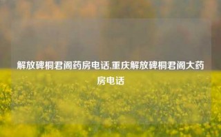 解放碑桐君阁药房电话,重庆解放碑桐君阁大药房电话