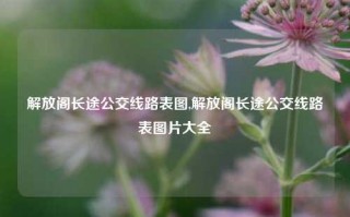 解放阁长途公交线路表图,解放阁长途公交线路表图片大全