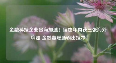 金融科技企业出海加速！信也年内获三张海外牌照 金融壹账通输出技术