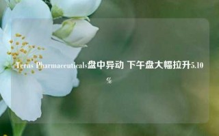 Terns Pharmaceuticals盘中异动 下午盘大幅拉升5.10%