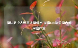 阿达尼个人财富大幅缩水 波音CEO称公司内部问题严重