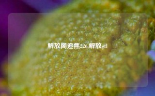 解放阁追焦226,解放gtl